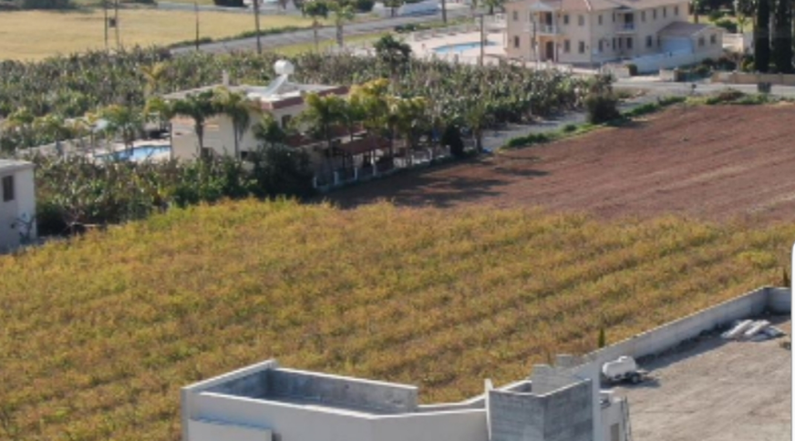 section catalog photo